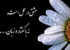 20 نشانه مهم و حیاتی عشق واقعی