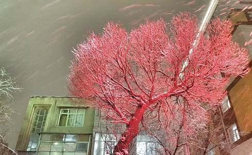 عکس های شگفت انگیز از تهران سفید پوش