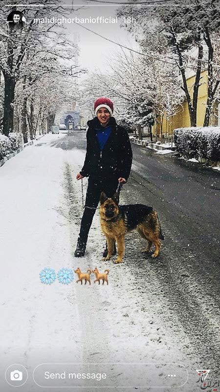 عکس ها و خبرهای داغ از بازیگران ایرانی عکس ها و خبرهای داغ از بازیگران ایرانی