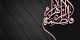 علت و ماجرای شهادت حضرت فاطمه (س)