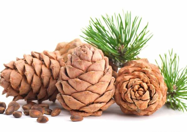 جایگزین خانگی و موثر قرص های ویاگرا