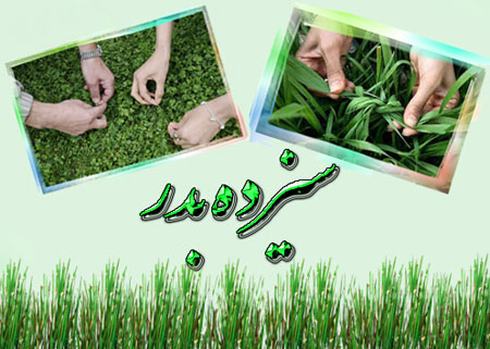 کارت پستال و عکس نوشته تبریک سیزده بدر کارت پستال و عکس نوشته تبریک سیزده بدر