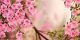 زیباترین متنهای عاشقانه و اس ام اس عاشقانه بهار
