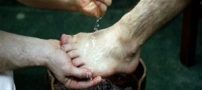 10 عضو مهم بدن که بهداشت آن رعایت نمی شود