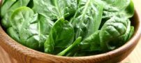 یک برگ اسفناج و این همه خاصیت شگفت انگیز