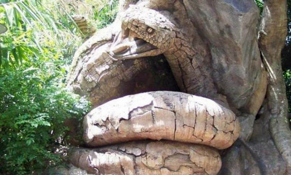 عکسهایی از مجسمه های زنده