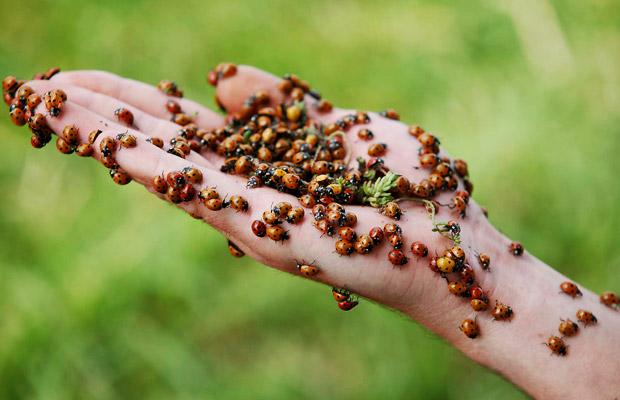 عکسهای دیدنی امروز 5 مرداد1388