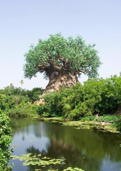 عکسهایی از مجسمه های زنده