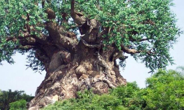 عکسهایی از مجسمه های زنده