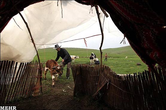 عکسهای زندگی عشایر سردابه