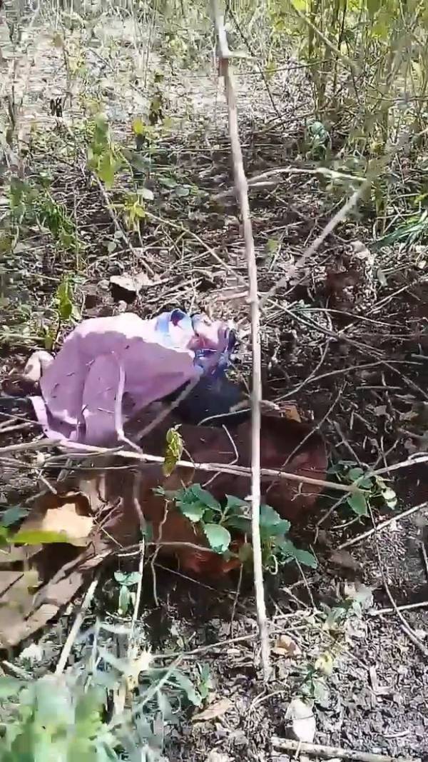 بدن کودک رها شده در جنگل لانه حشرات شد (عکس) بدن کودک رها شده در جنگل لانه حشرات شد (عکس)