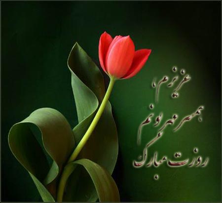 جدیدترین عکس پروفایل مخصوص تبریک روز مرد