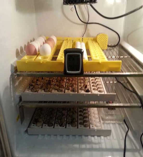 آموزش کامل و جامع ساخت دستگاه جوجه کشی با یخچال