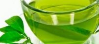 مصرف صحیح چای سبز برای لاغر شدن چیست
