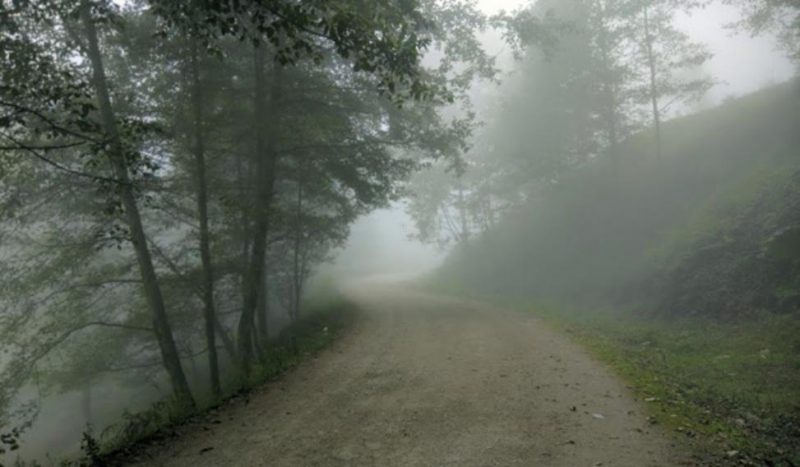 آشنایی با جنگل دالخانی و عکس های بهشت رامسر