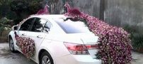 شیک ترین و جدیدترین مدل ماشین عروس