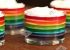 طرز تهیه دسر مجلسی پاناکوتا رنگین