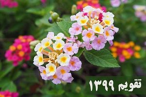 تقویم 99 در یک نگاه +روزهای تعطیل