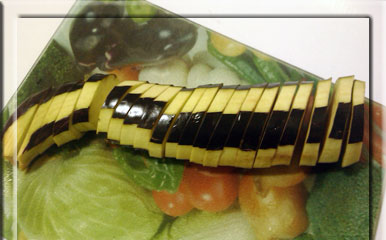طرز تهیه یک پیش غذای خوشمزه و مجلسی طرز تهیه یک پیش غذای خوشمزه و مجلسی