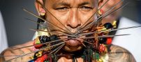 عبور دادن چاقو شمشیر و تیغ‌از صورت در جشنواره گیاه‌خواران!