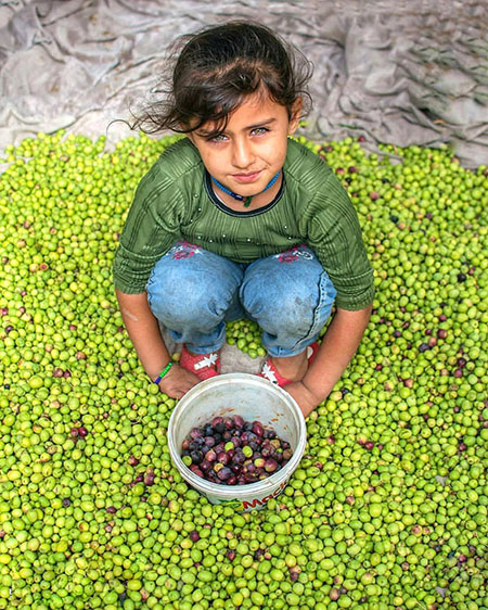  عکس های جالب و دیدنی روز 16 مهر