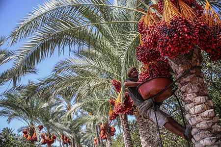  عکس های جالب و دیدنی روز 16 مهر