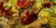 طرز تهیه باقالی پلوی مجلسی و خوشمزه