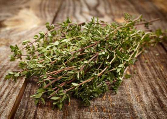 خواص آویشن در طب سنتی را بشناسید خواص آویشن در طب سنتی را بشناسید