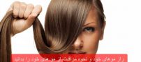 راز موهای خود و نحوه مراقبت از مو های خود را بدانید