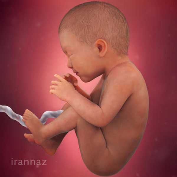 اضطراب زنان باردار به مغز جنین صدمه میزند اضطراب زنان باردار به مغز جنین صدمه میزند