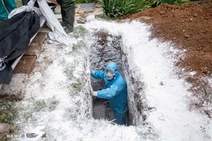 کشف گنج و اسکلت سرباز اشکانی هنگام دفن جسد یک کرونایی