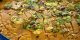 طرز تهیه‌ی سوهان قم مجلسی در خانه
