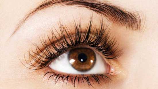 همه چیز درباره اکستنشن مژه و راه های تقویت آن همه چیز درباره اکستنشن مژه و راه های تقویت آن