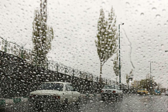 10 مورد از عجیب و غریب ترین بارش های باران در جهان 10 مورد از عجیب و غریب ترین بارش های باران در جهان