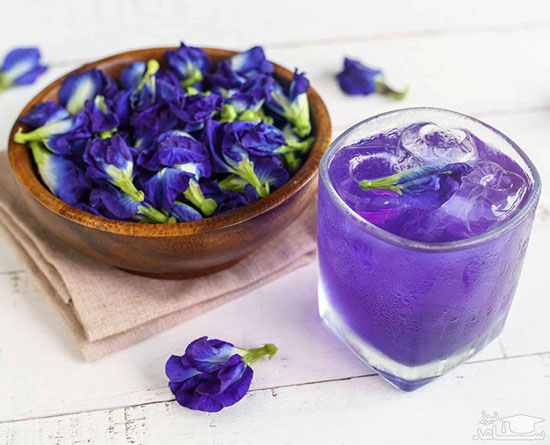 همه چیز درباره گل بنفشه و خواص دمنوش آن همه چیز درباره گل بنفشه و خواص دمنوش آن