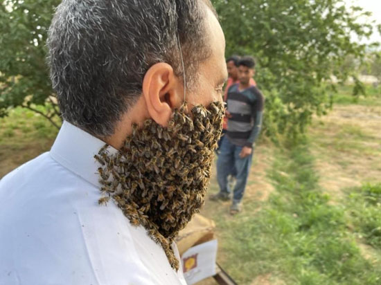 240 هزار نیش زنبور روی صورت این مرد عجیب + عکس