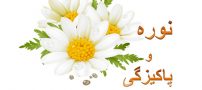 همه چیز درباره نوره و نحوه استفاده از آن + خواص و فواید