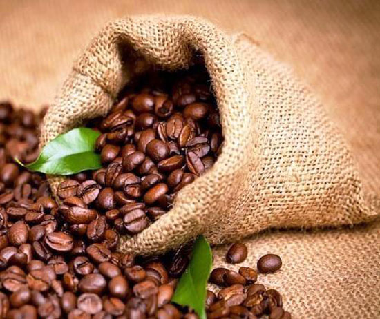 ترفند های از بین بردن بوی بد سطل آشغال ترفند های از بین بردن بوی بد سطل آشغال