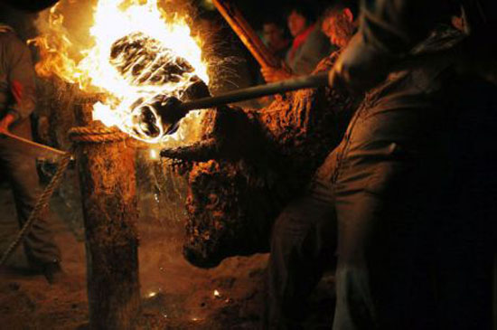 تصاویر جالب و دیدنی از جشنواره آتش زدن گاو ها
