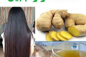 معجزه زنجبیل برای رشد و تقویت مو