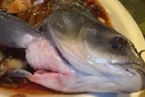این ماهی در حین طبخ فرار کرد + عکس