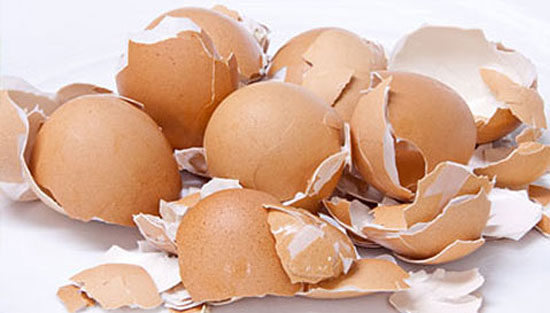 چگونه از پوست تخم مرغ برای کود گیاهی استفاده کنیم؟
