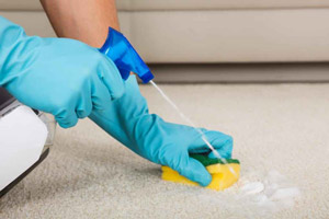 چطور لکه رژلب مایع را از روی فرش یا موکت پاک کنیم؟