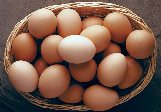 سن تخم مرغ و روش های تشخیص سالم بودن یا فاسد شدن تخم مرغ