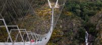 عکس های طولانی ترین پل معلق کابلی در دنیا با منظره بسیار زیبا