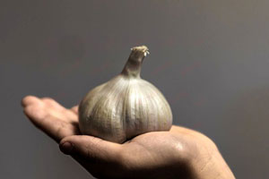 کاربردهای جالب و اعجاب انگیز سیر