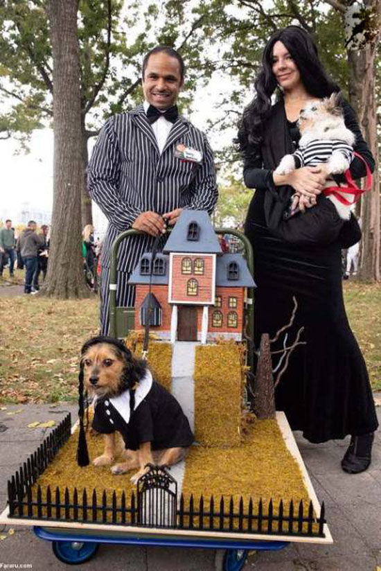عکس های جالب و دیدنی از رژه سگ‌های هالووینی