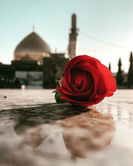 عکس نوشته و متن های زیبای میلاد امام حسن عسکری (ع) عکس نوشته و متن های زیبای میلاد امام حسن عسکری (ع)