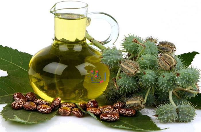 روغن کرچک