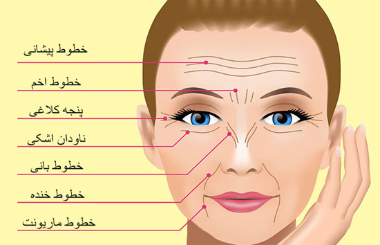 نقطه ای در صورت شما که به شخصیت شناسی بهتر کمک میکند نقطه ای در صورت شما که به شخصیت شناسی بهتر کمک میکند
